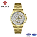 Polucy Chronographe Noir Couleur Hommes Montres Sport